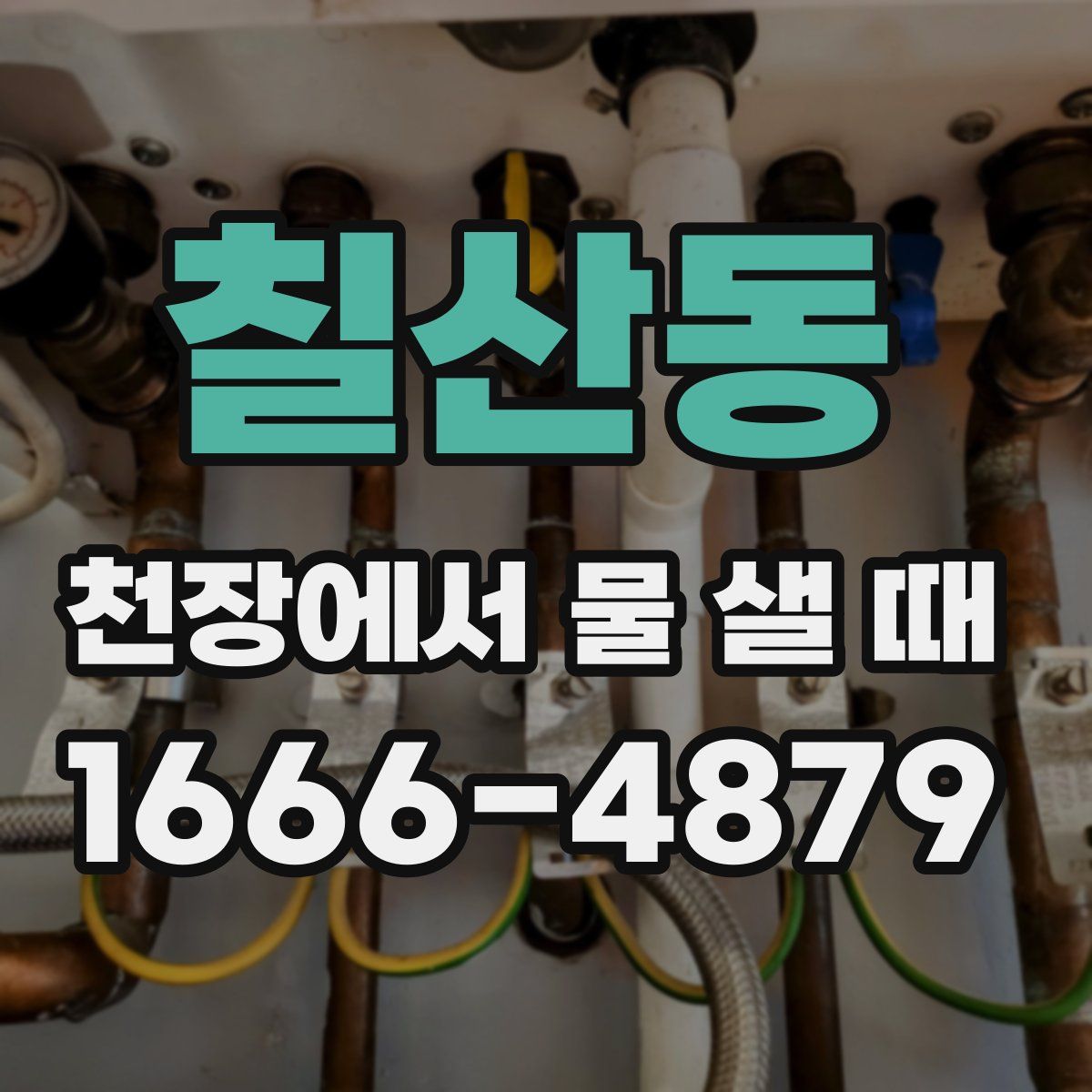 칠산동 천장에서 물 샐 때