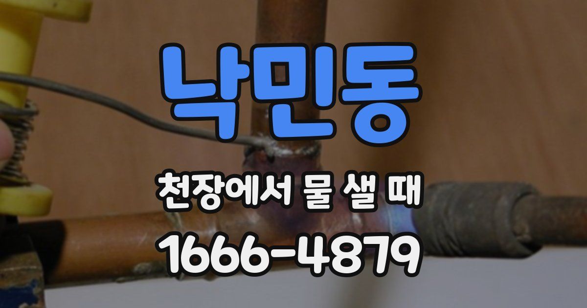 낙민동 천장에서 물 샐 때