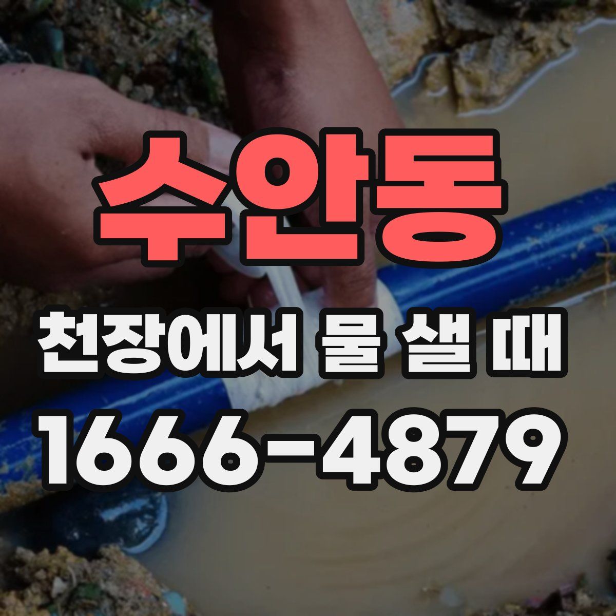 수안동 천장에서 물 샐 때