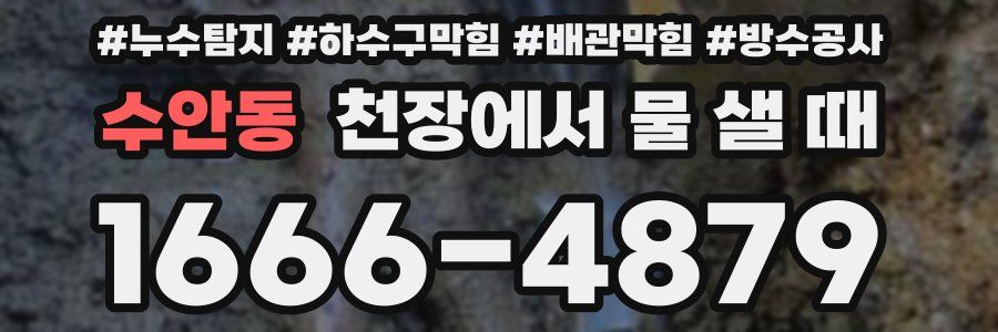 수안동 천장에서 물 샐 때