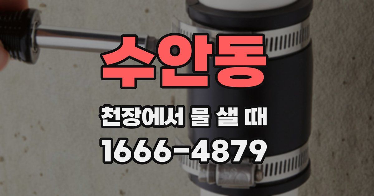 수안동 천장에서 물 샐 때