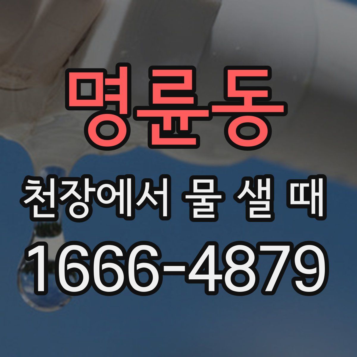 명륜동 천장에서 물 샐 때