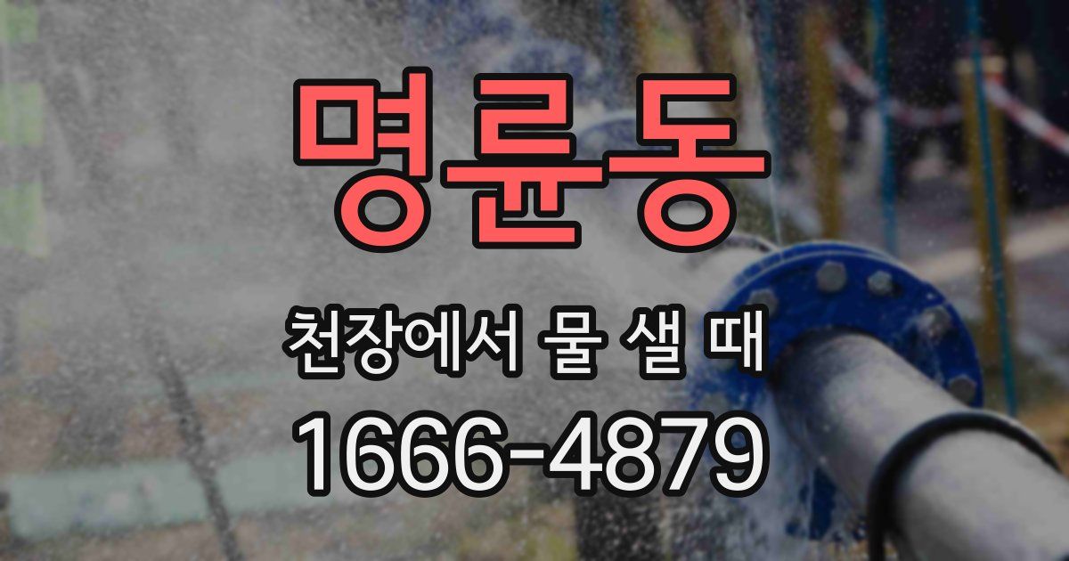 명륜동 천장에서 물 샐 때