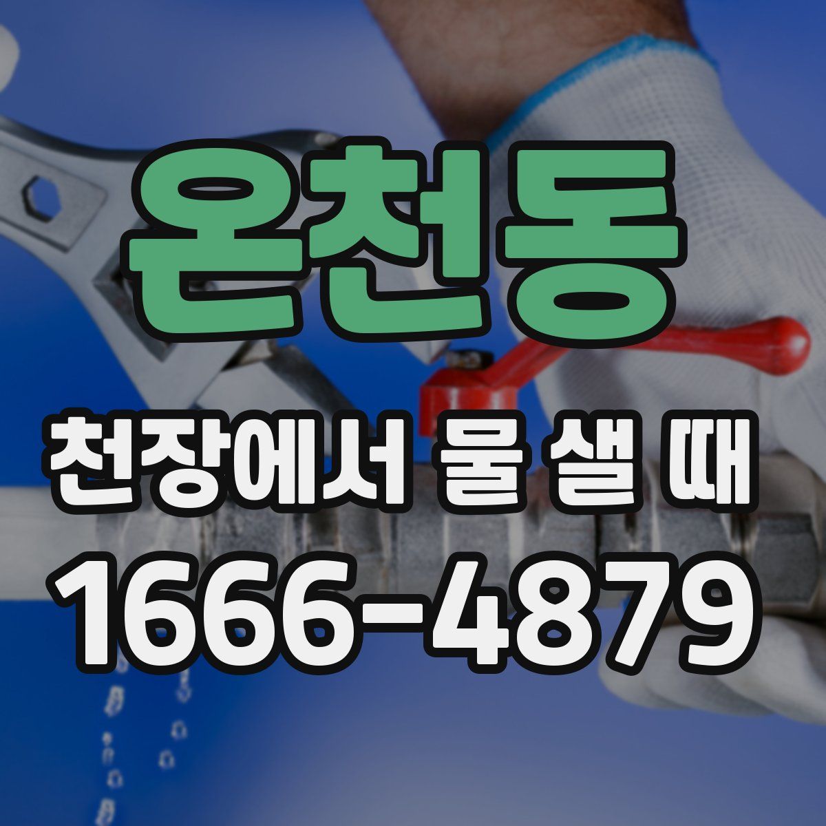 온천동 천장에서 물 샐 때