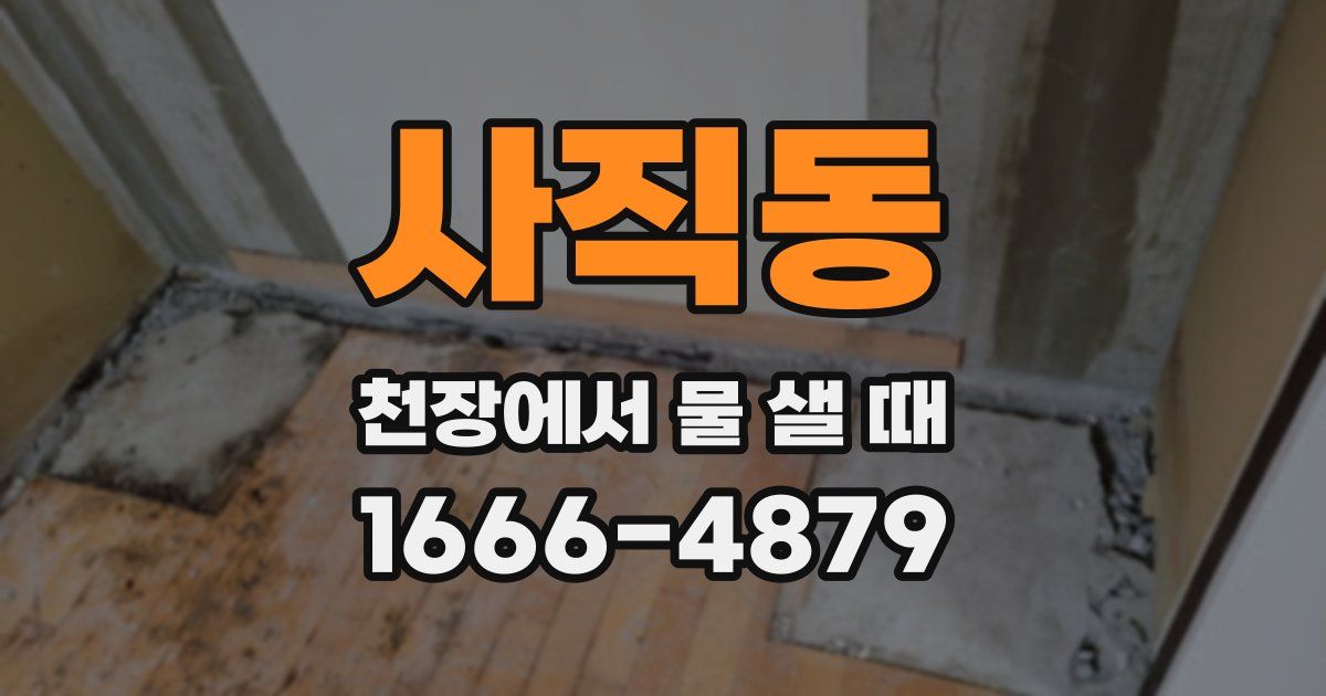 사직동 천장에서 물 샐 때