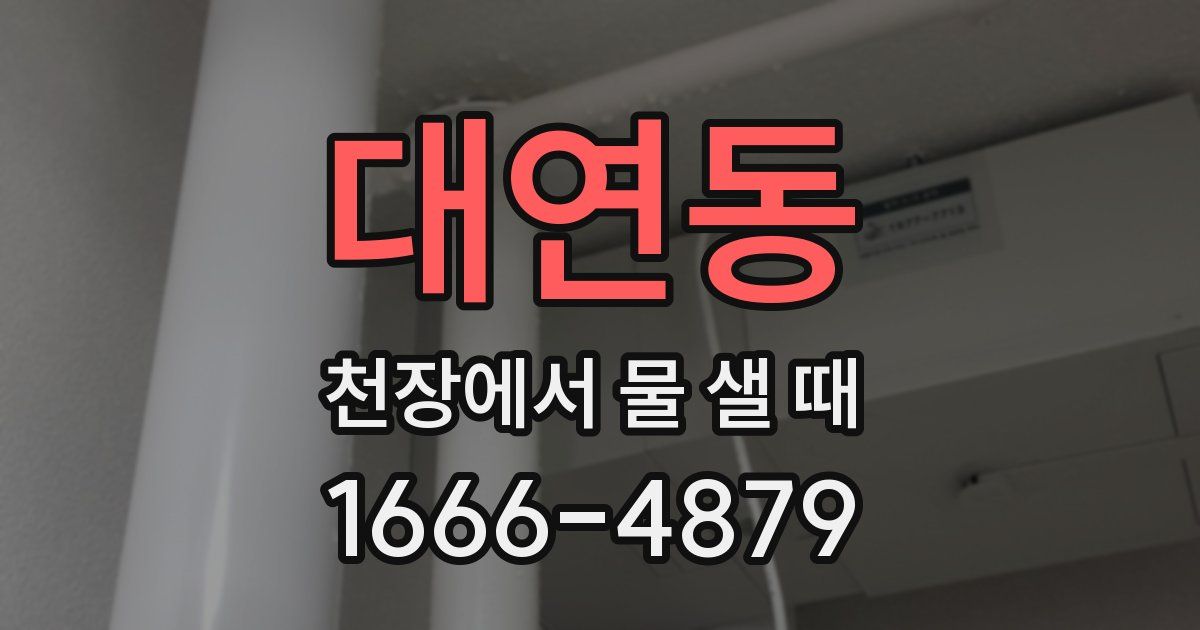 대연동 천장에서 물 샐 때