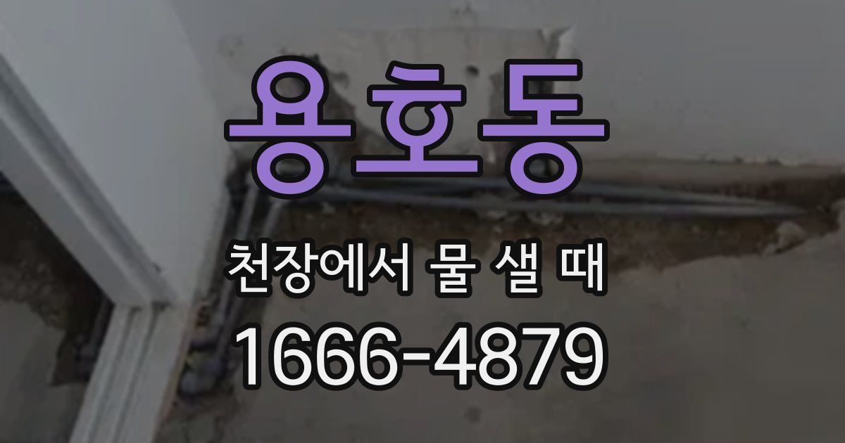 용호동 천장에서 물 샐 때