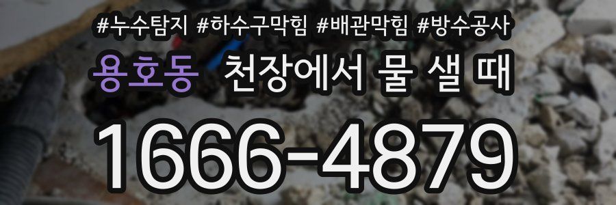 용호동 천장에서 물 샐 때