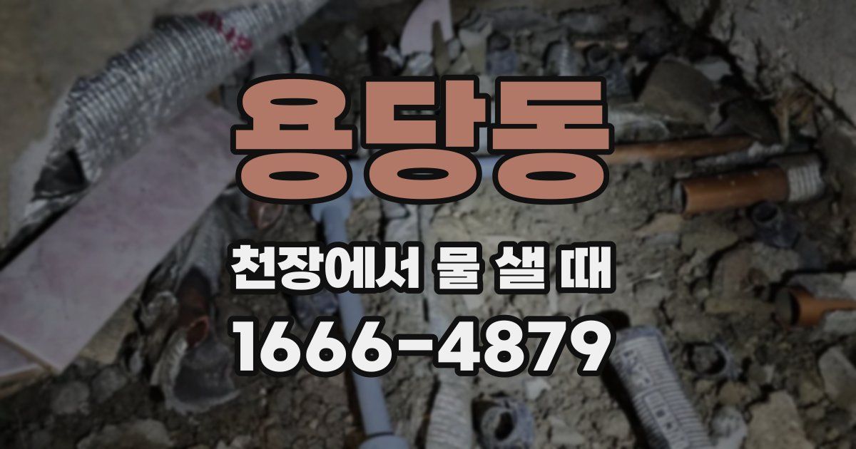 용당동 천장에서 물 샐 때