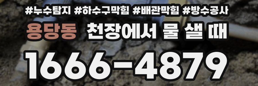 용당동 천장에서 물 샐 때