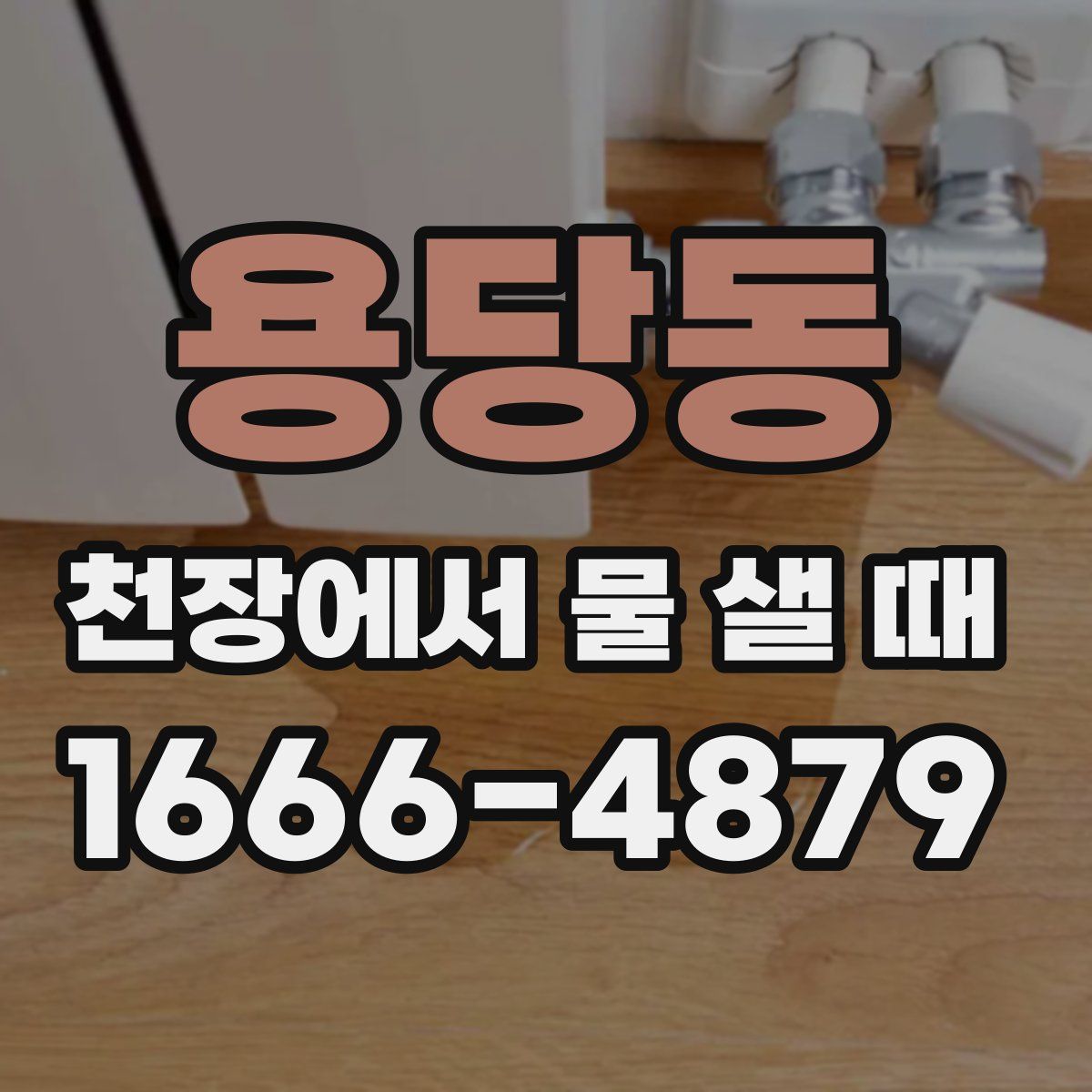 용당동 천장에서 물 샐 때