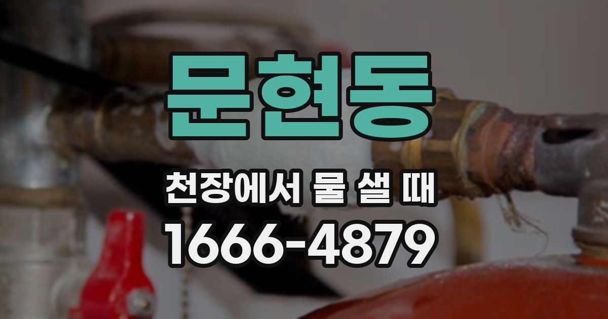 문현동 천장에서 물 샐 때
