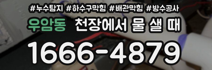 우암동 천장에서 물 샐 때