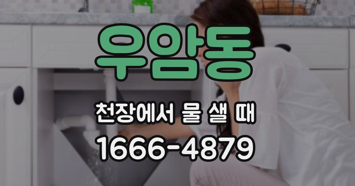 우암동 천장에서 물 샐 때