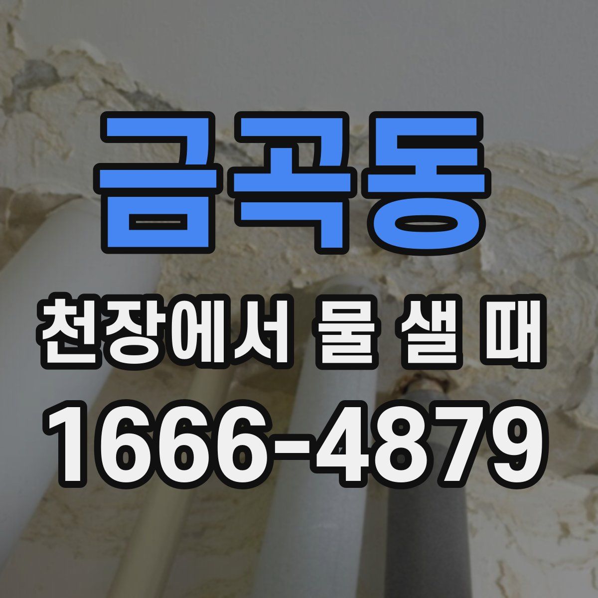 금곡동 천장에서 물 샐 때