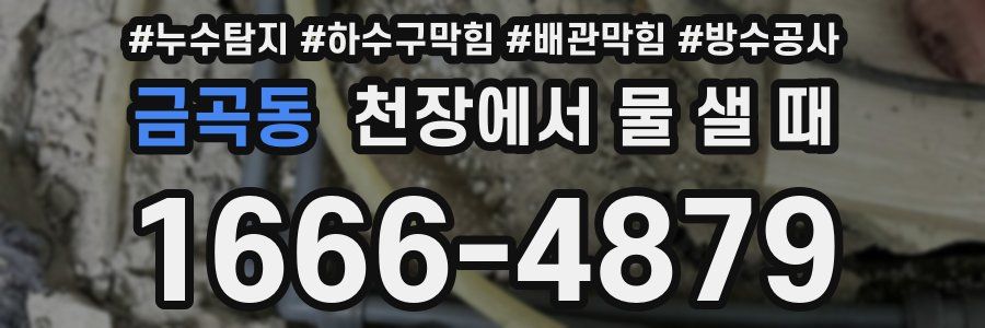 금곡동 천장에서 물 샐 때
