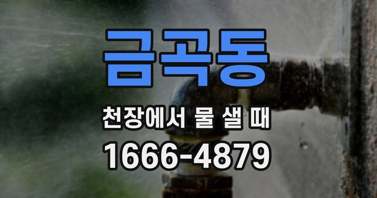 금곡동 천장에서 물 샐 때