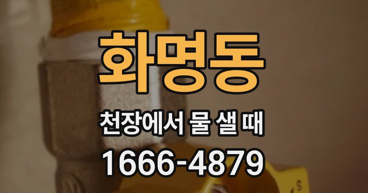 화명동 천장에서 물 샐 때