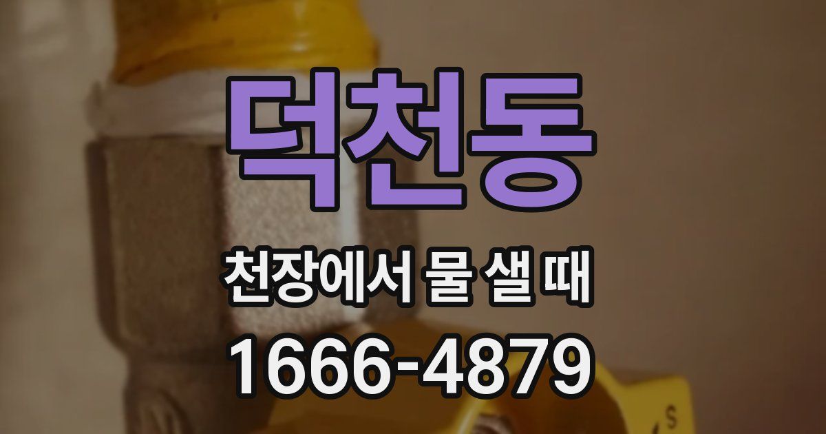 덕천동 천장에서 물 샐 때