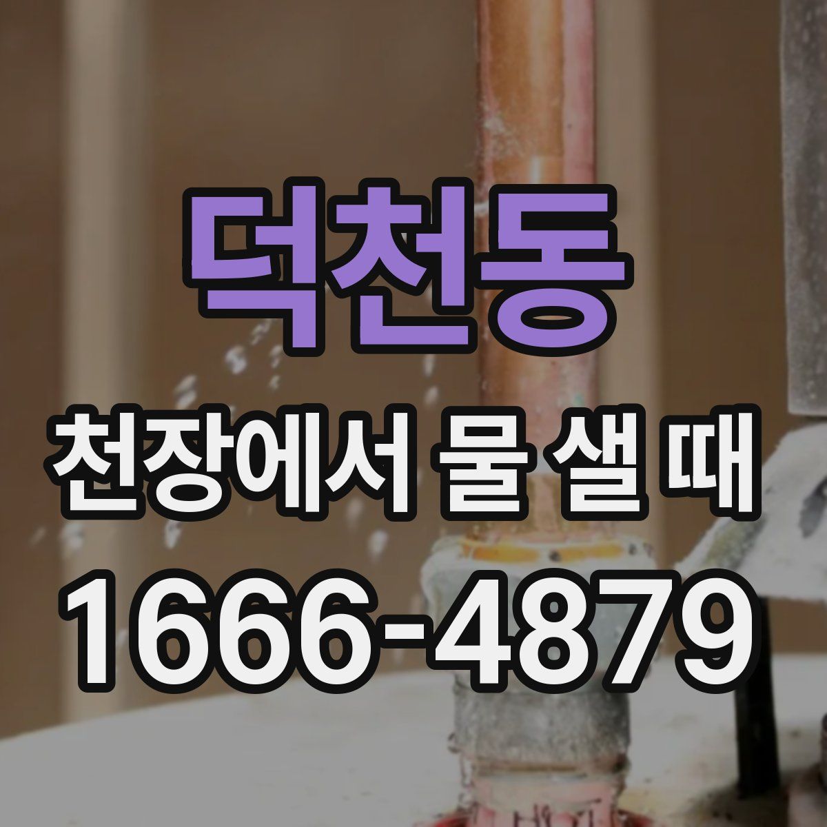 덕천동 천장에서 물 샐 때