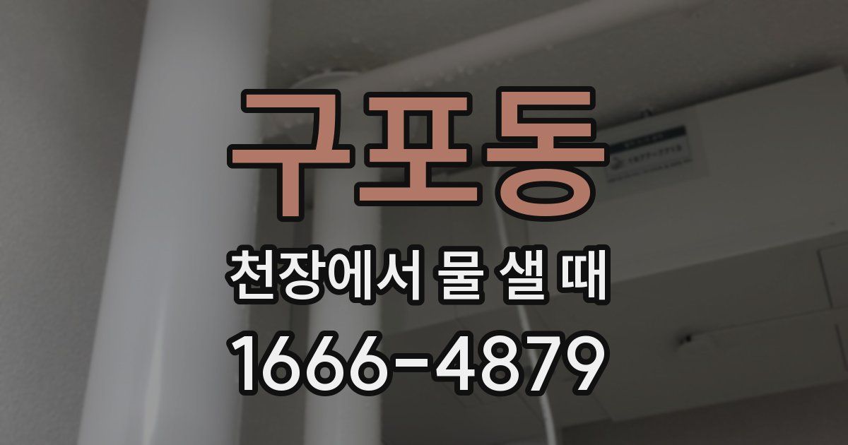구포동 천장에서 물 샐 때