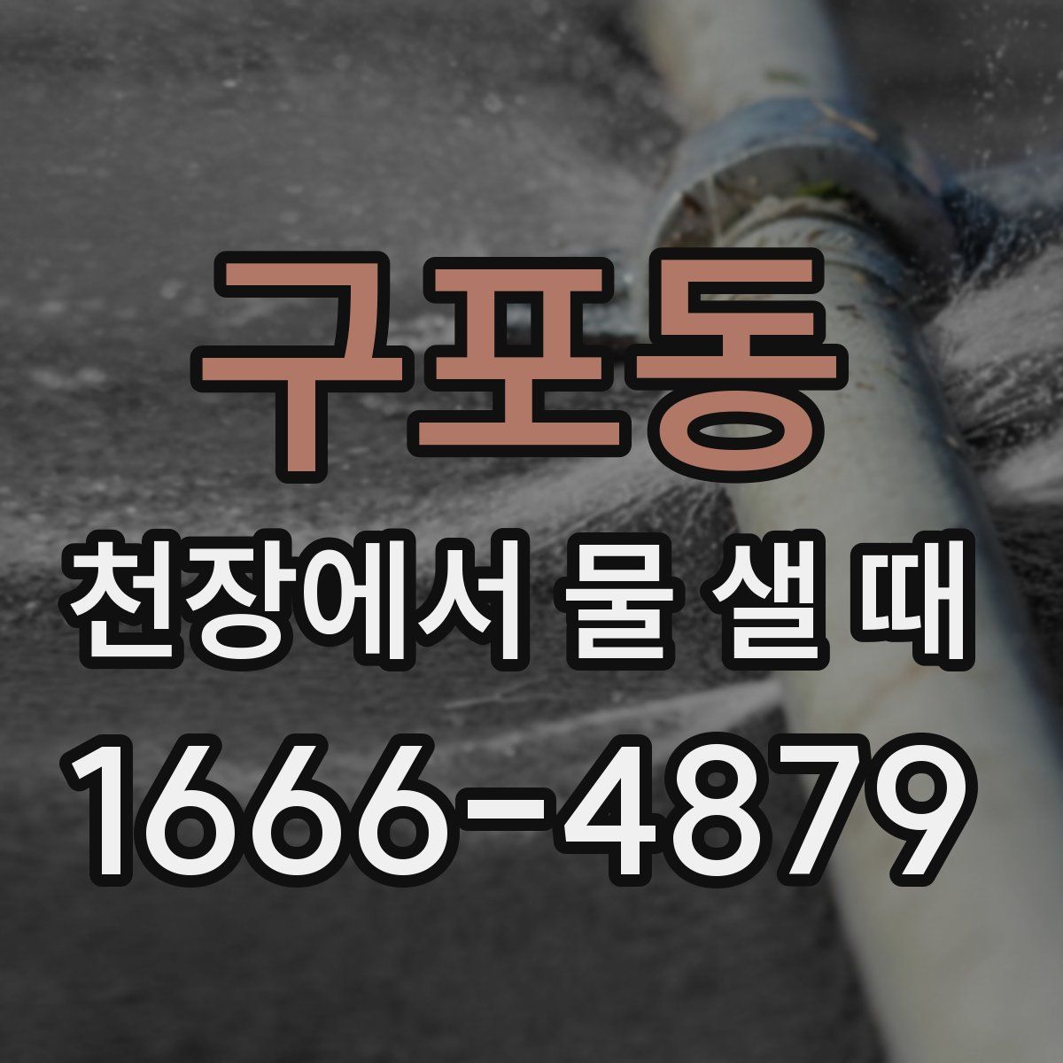 구포동 천장에서 물 샐 때