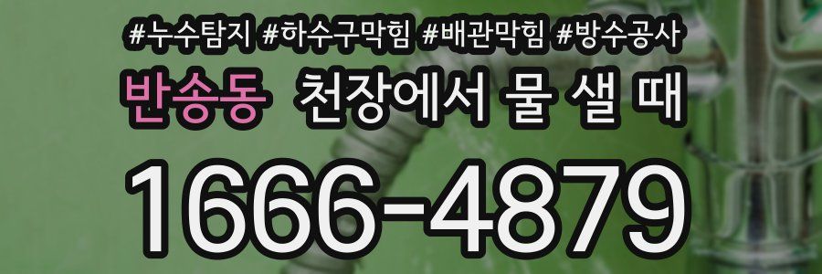 반송동 천장에서 물 샐 때
