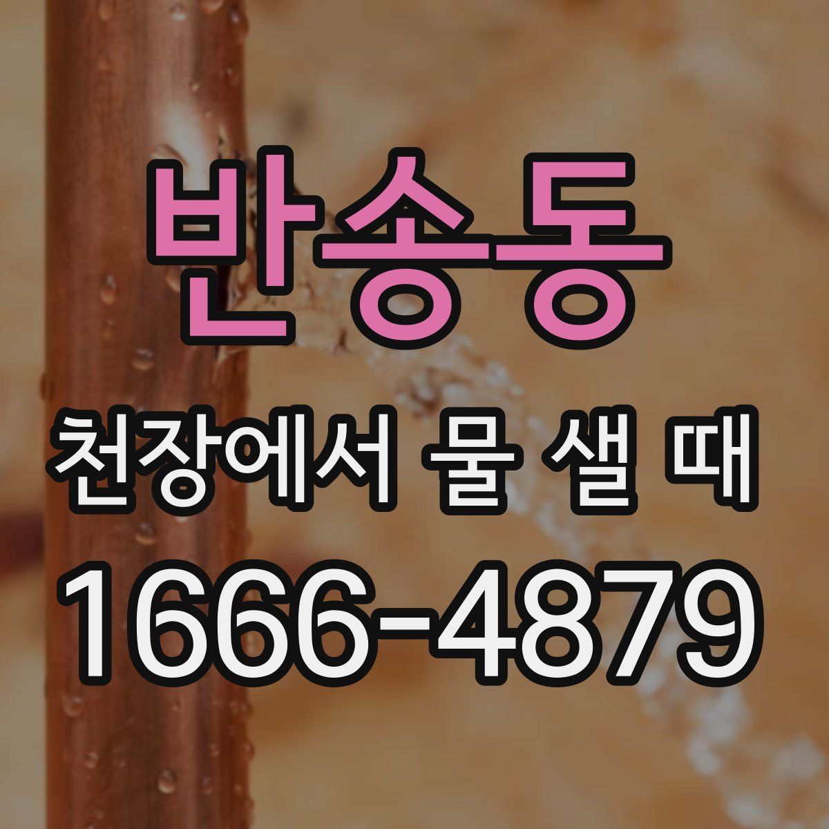 반송동 천장에서 물 샐 때