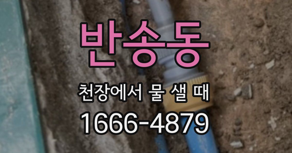 반송동 천장에서 물 샐 때