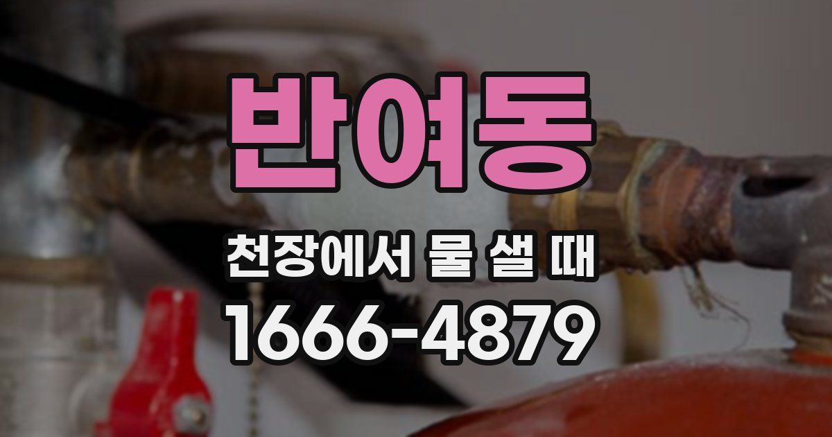 반여동 천장에서 물 샐 때