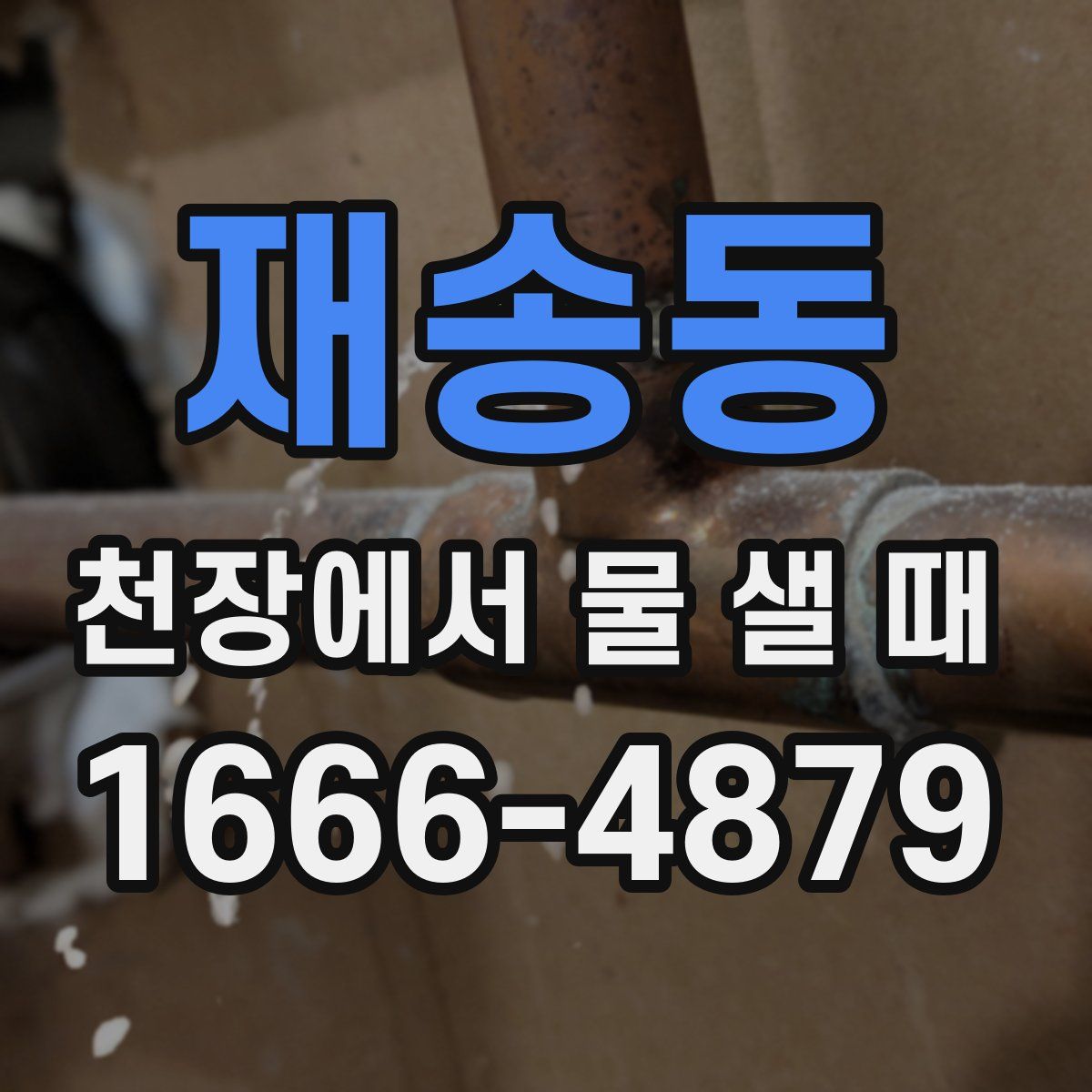 재송동 천장에서 물 샐 때