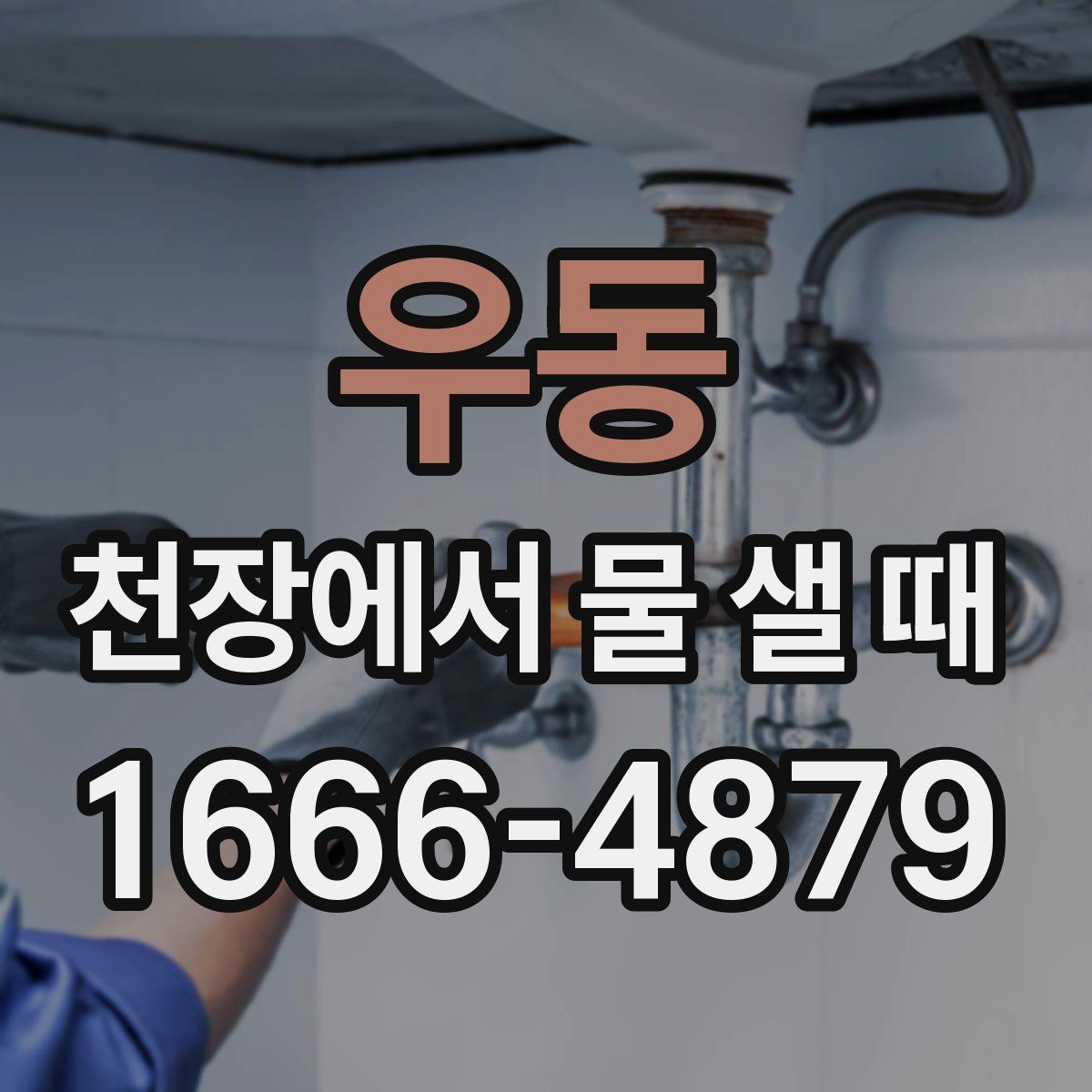 우동 천장에서 물 샐 때