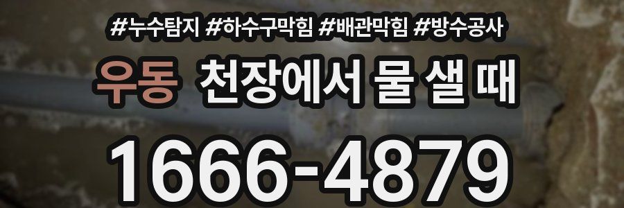 우동 천장에서 물 샐 때
