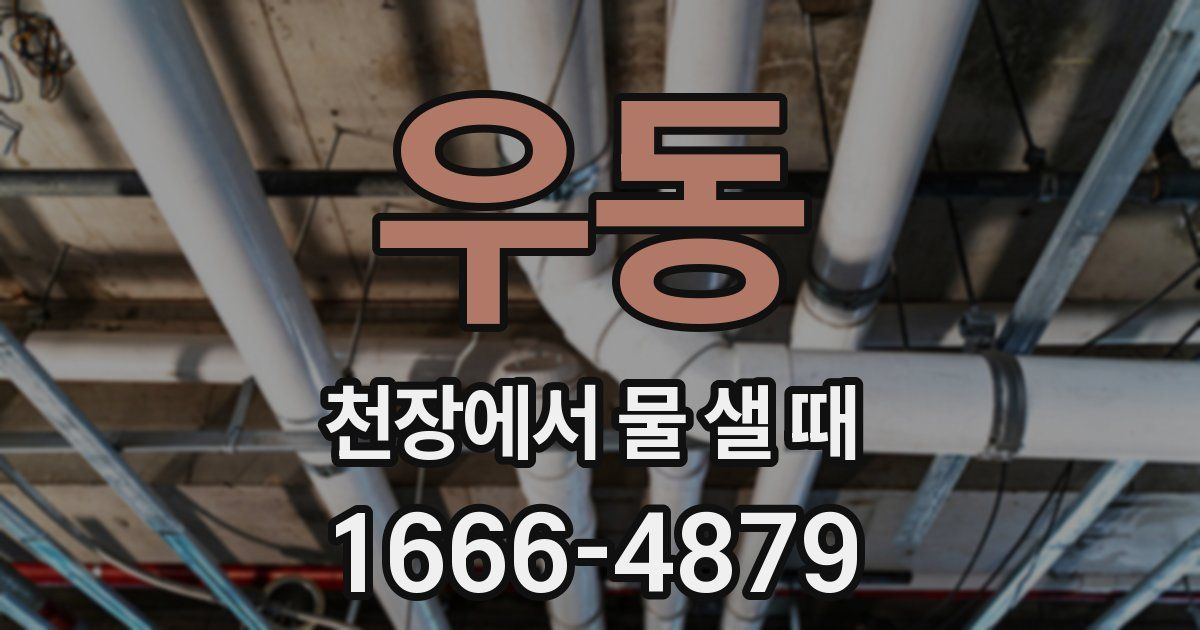 우동 천장에서 물 샐 때