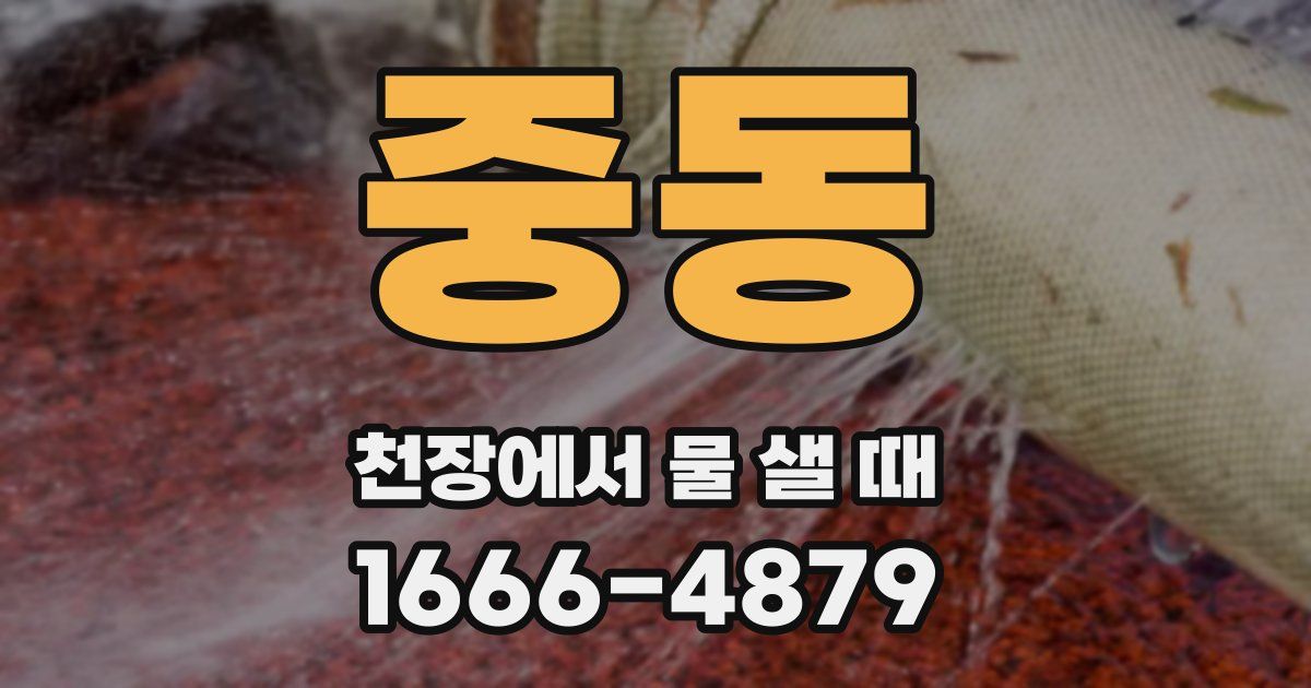 중동 천장에서 물 샐 때