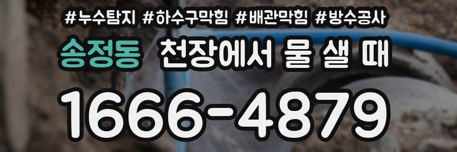송정동 천장에서 물 샐 때