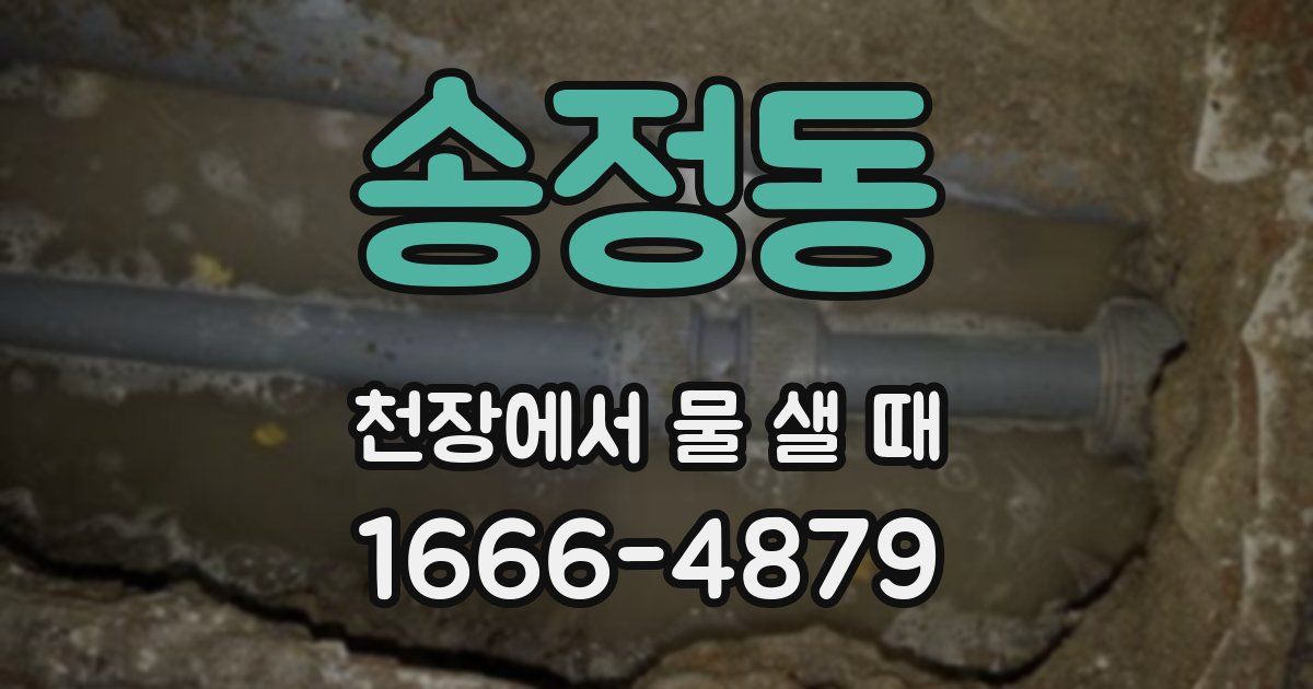 송정동 천장에서 물 샐 때