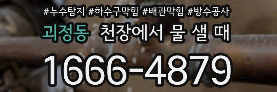 괴정동 천장에서 물 샐 때