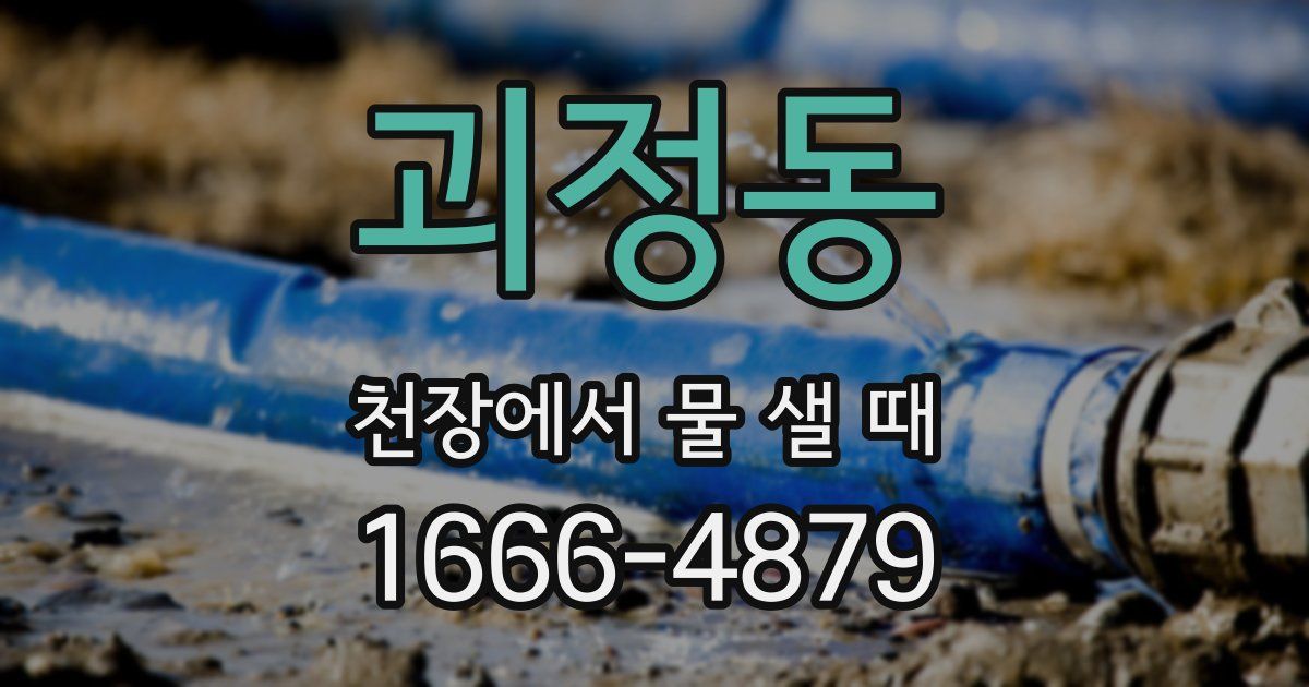 괴정동 천장에서 물 샐 때