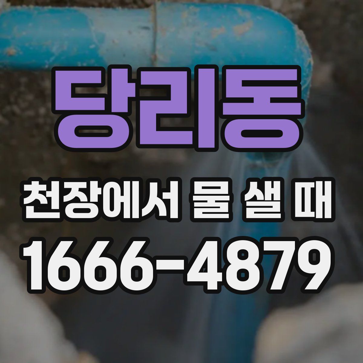 당리동 천장에서 물 샐 때
