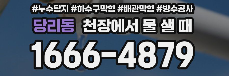 당리동 천장에서 물 샐 때