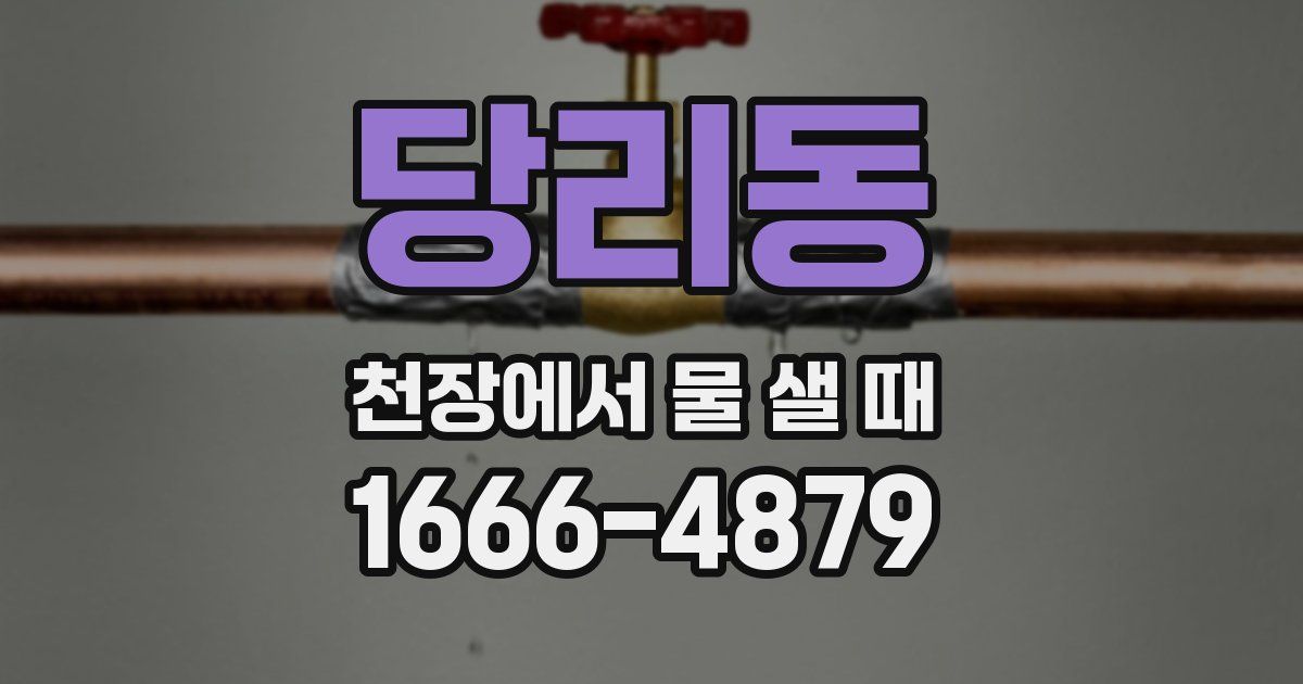 당리동 천장에서 물 샐 때