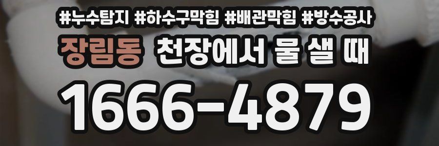 장림동 천장에서 물 샐 때