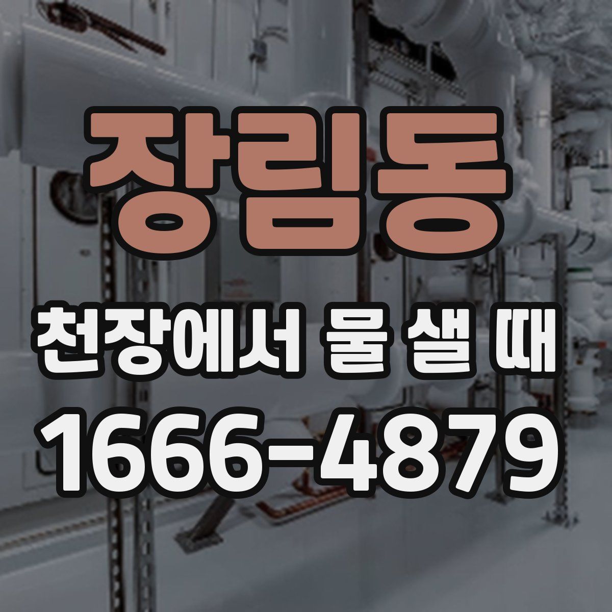 장림동 천장에서 물 샐 때