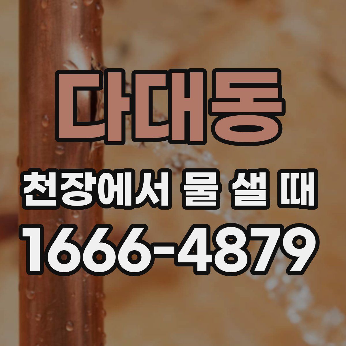 다대동 천장에서 물 샐 때