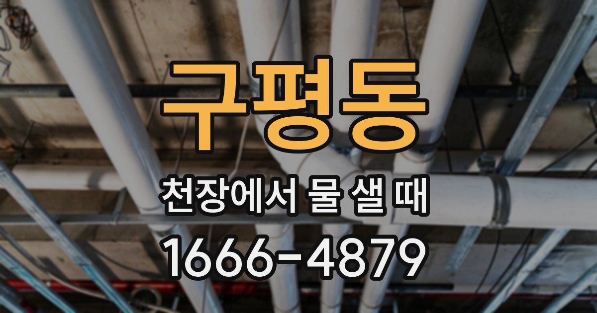 구평동 천장에서 물 샐 때