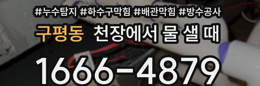 구평동 천장에서 물 샐 때