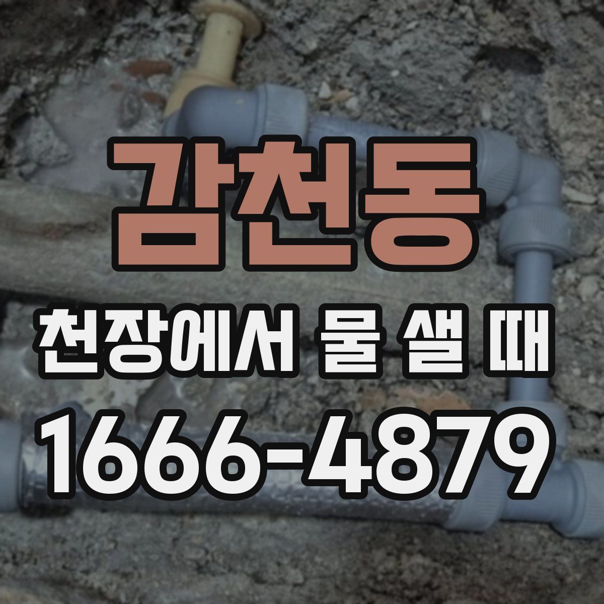 감천동 천장에서 물 샐 때