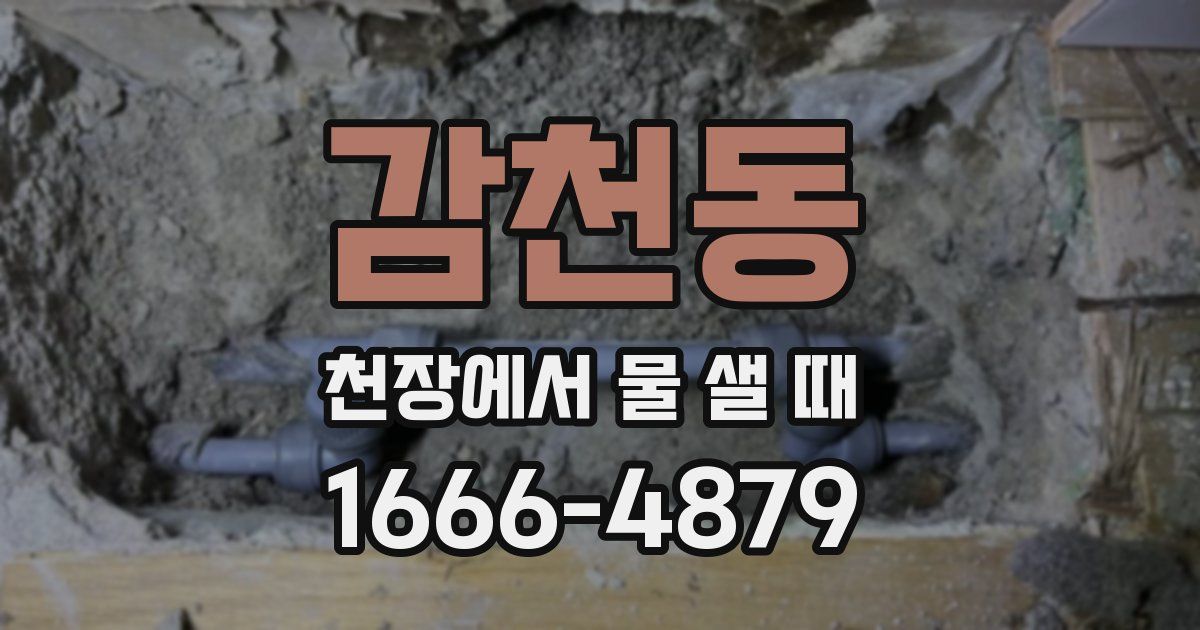 감천동 천장에서 물 샐 때