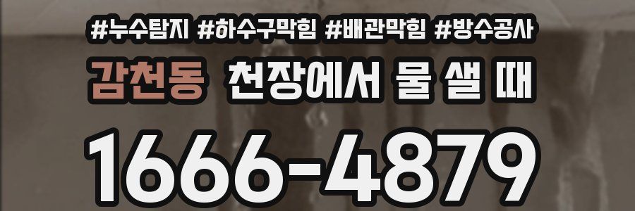 감천동 천장에서 물 샐 때